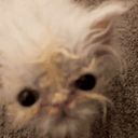 AAA emote for Discord
