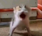 AAAA emote for Discord