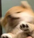 AAUGH emote for Discord