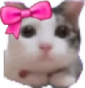 AAYunCat emote for Discord