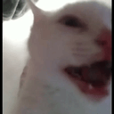 AAAAA emote for Discord