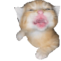 aaaaaa emote for Discord