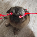 absolute emote for Discord