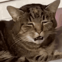 What emote for Discord