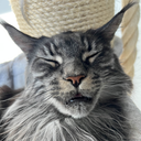 ahh emote for Discord