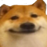 doge_face emote for Discord