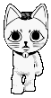 gifTurboCat_DanceSet emote for Discord