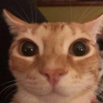 glungus emote for Discord