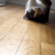 Cat_slide emote for Discord