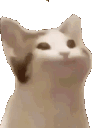 Cat emote for Discord