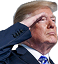 Trump_salute emote for Discord