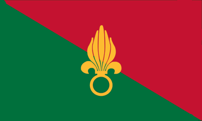Flag_fl emote for Discord