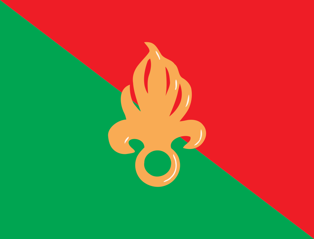 Flag_fl emote for Discord
