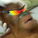 2SICK2LIVE emote for Discord