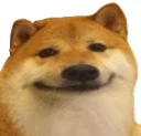Shiba emote for Discord