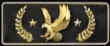 LegendaryEagleMaster emote for Discord