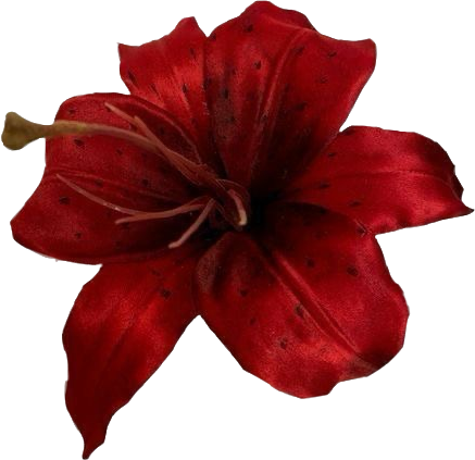 redflower emote for Discord