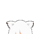 Peek emote for Discord