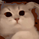 3 emote for Discord