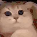 3 emote for Discord