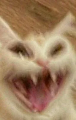 cat_ahhaha emote for Discord