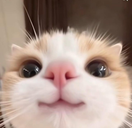 3 emote for Discord