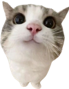 3 emote for Discord