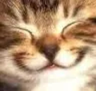 3 emote for Discord