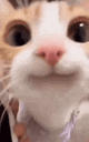 3 emote for Discord