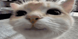 3 emote for Discord