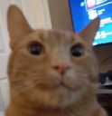 3 static emote