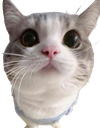 3333 emote for Discord