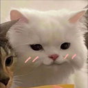 333 emote for Discord