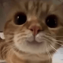 333 emote for Discord