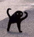 300px_Cursed_Cat emote for Discord