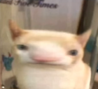 3Cat emote for Discord