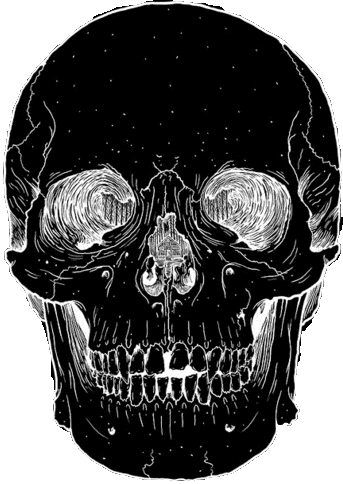 skull emote for Discord