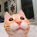 33 emote for Discord