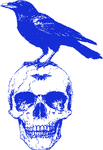 Crow emote for Discord