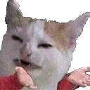 4y emote for Discord