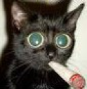 420cat emote for Discord