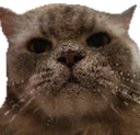 4weird emote for Discord