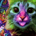 420Cat emote for Discord
