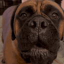 4real emote for Discord