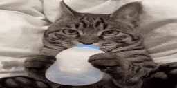 505un emote for Discord