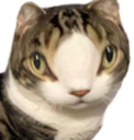5Head emote for Discord