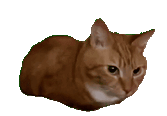 Q emote for Discord