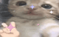 qqSparkle emote for Discord