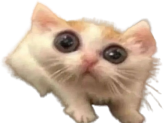 QUE emote for Discord