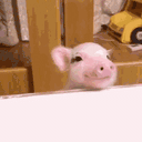 qqSix emote for Discord